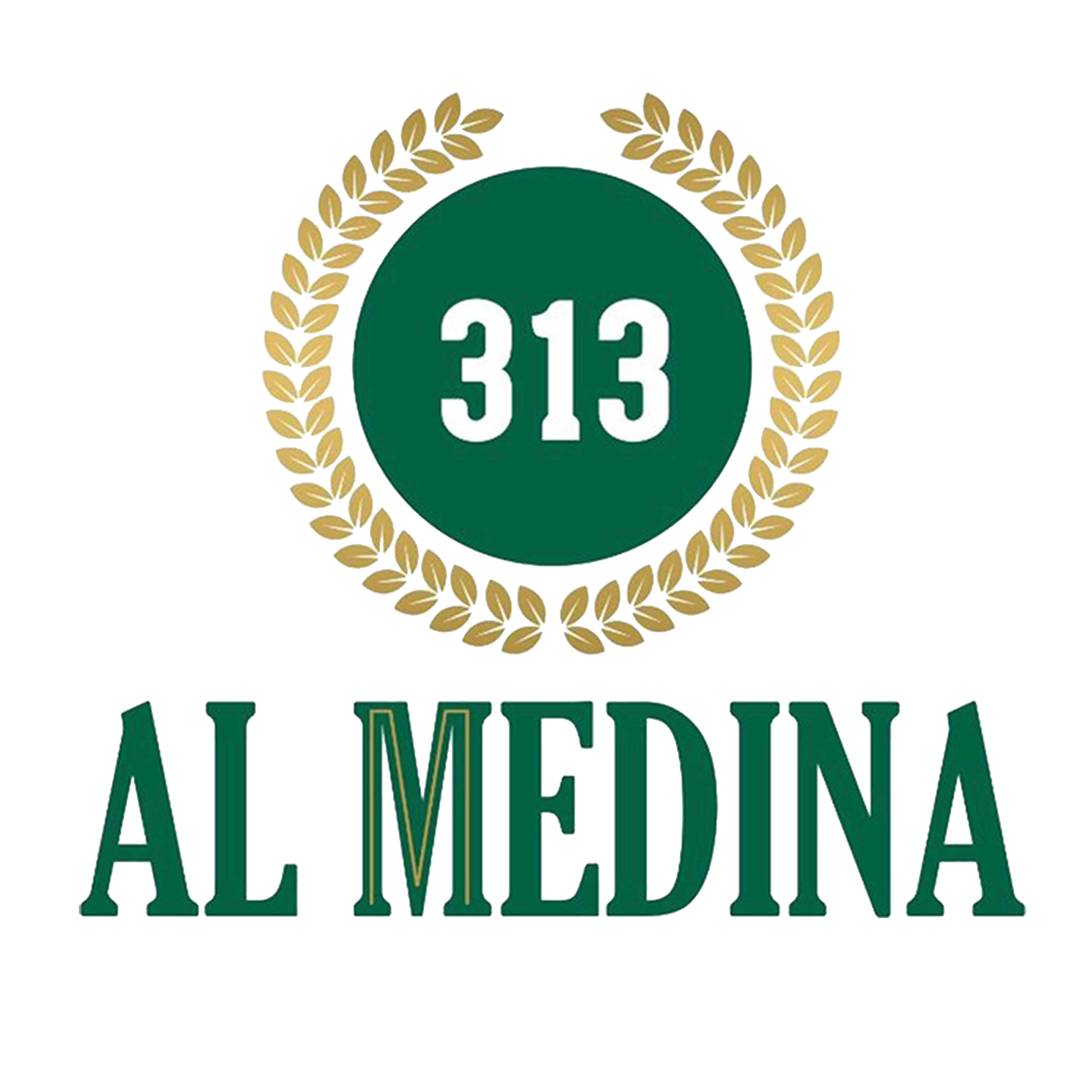 المدينة